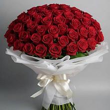 Букет 101 Красная роза Блэк Мэджик в Балабаново