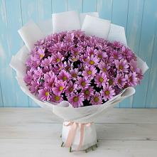 Букет цветов из:  Хризантемы в Балабаново