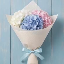 Букет цветов из:  Гортензия в Балабаново