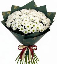 Букет цветов из:  Хризантемы #REPLACE_PRED# Балабаново