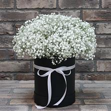 Цветочная композиция из Гипсофила в шляпной коробке в Балабаново